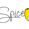 SPICE ELECTRONICS