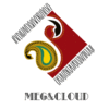 MEG&CLOUD EV TEKSTILI SANAYI VE TICARET LIMITED ŞIRKETI