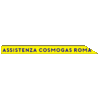 ASSISTENZA CALDAIE COSMOGAS ROMA