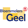 BLOEMMOLENS GEEL