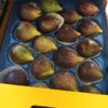 PARMAKSIZ FIGS