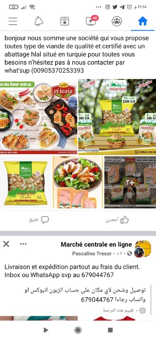 La viande de poulet halal 