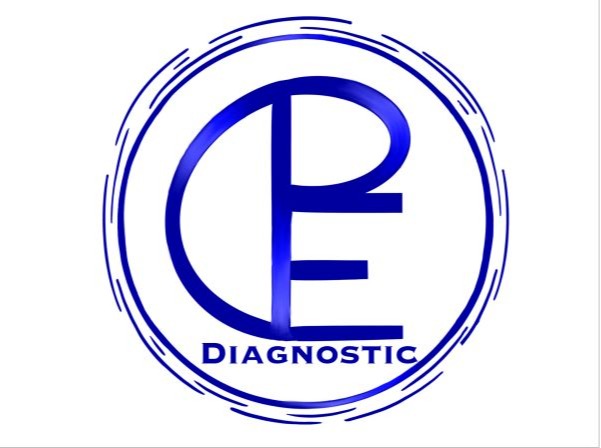 LOGO DPE DIAGNOSTIC