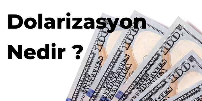 Dolarizasyon Nedir ? Avantajlar ve Dezavantajlar